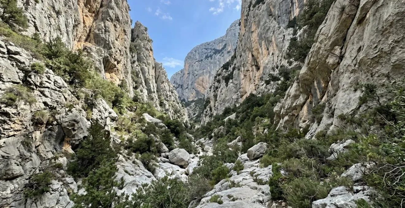 Vista ampia del canyon di Gorropu con pareti calcaree verticali, vegetazione mediterranea e cielo azzurro